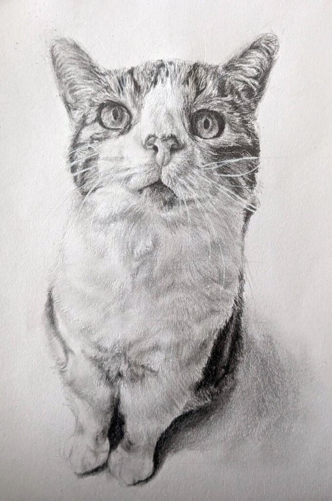 Graphite Cat-1