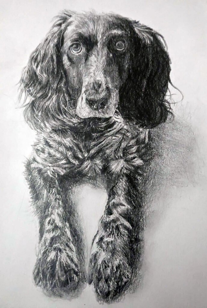 Graphite Dog-1