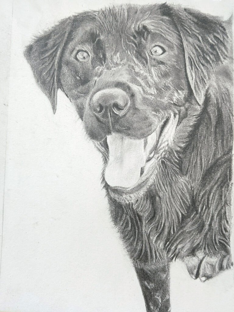 Graphite Dog-2