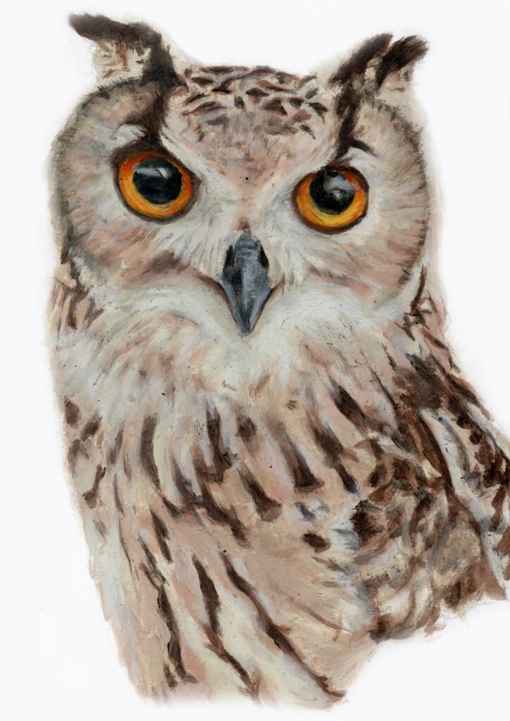 Oil Owl