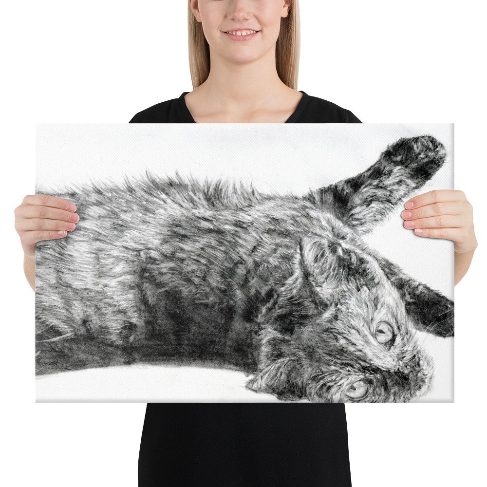 Graphite Resting Cat Canvas (in)