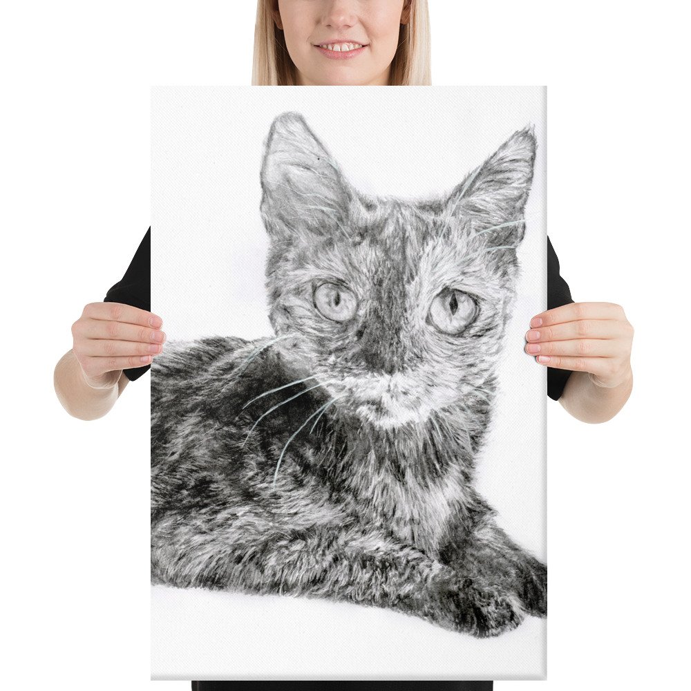 Graphite Partial Loafing Cat Canvas (in)