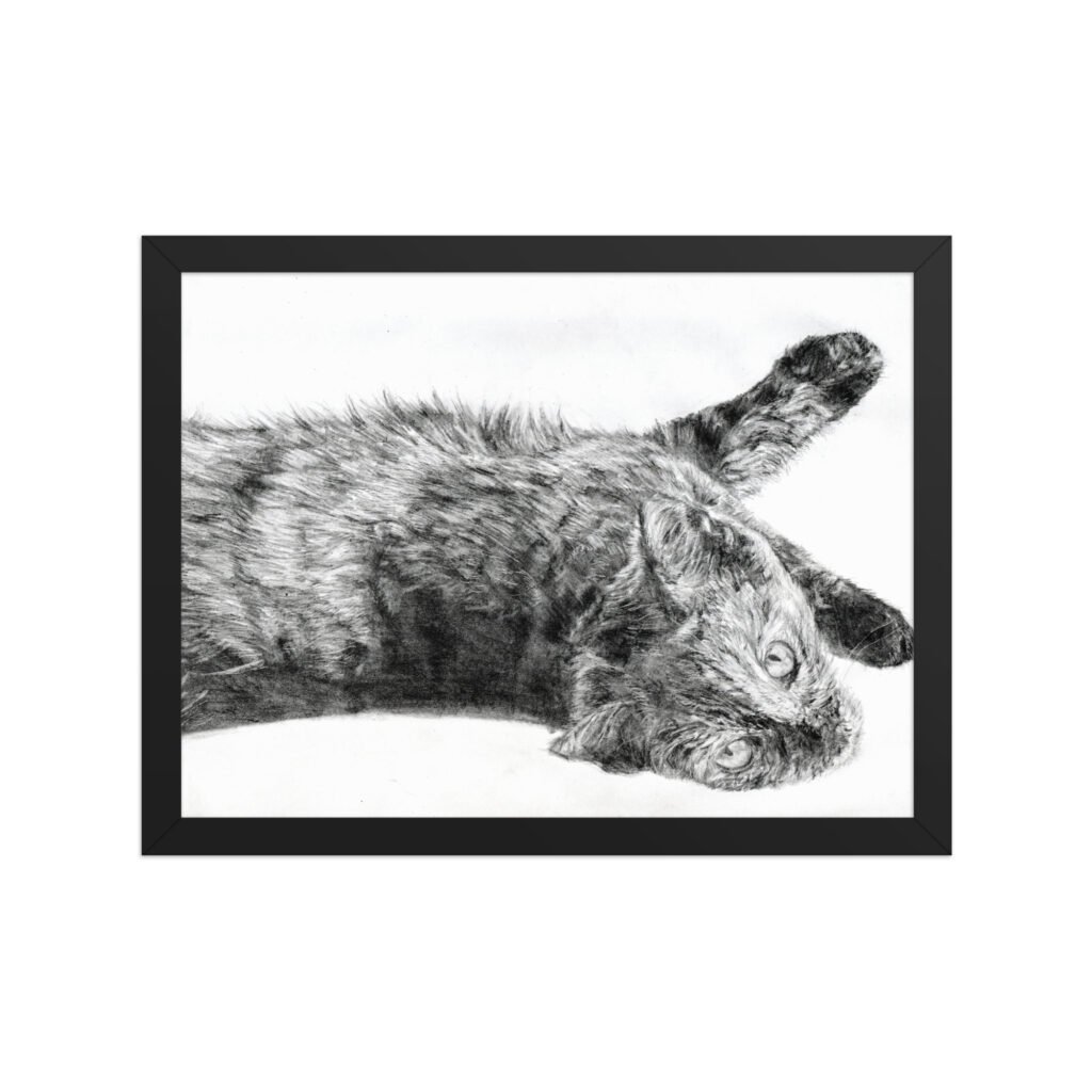 Graphite Resting Cat Framed Poster (in)