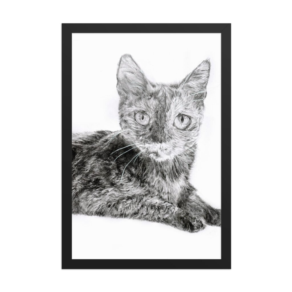 Graphite Partial Loafing Cat Framed Poster (in)