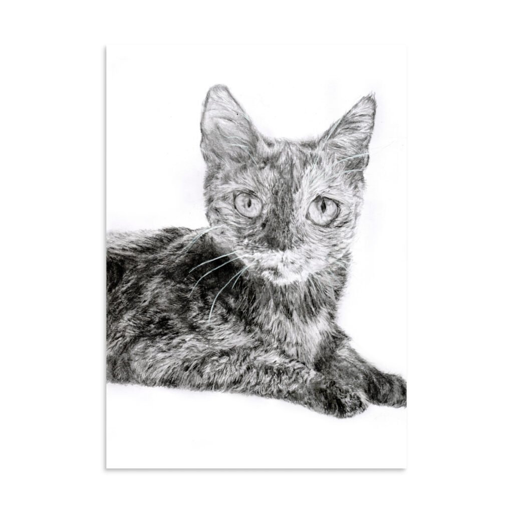 Graphite Partial Loafing Cat Poster (in)