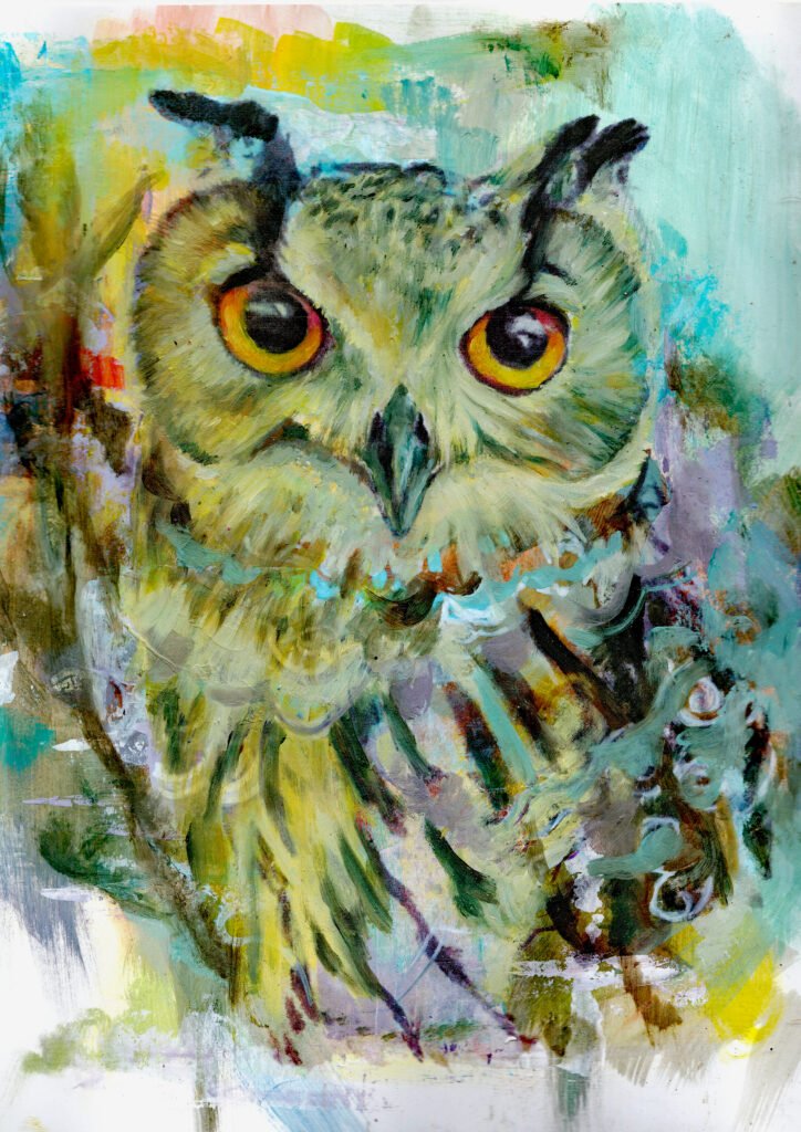 Owl