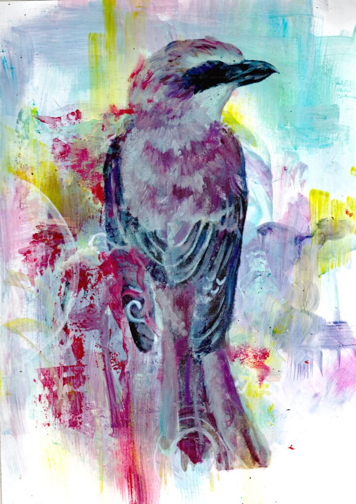 Shrike