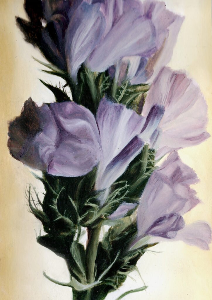 Flowers-1