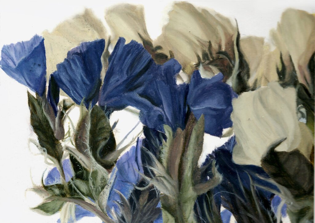 Flowers-2