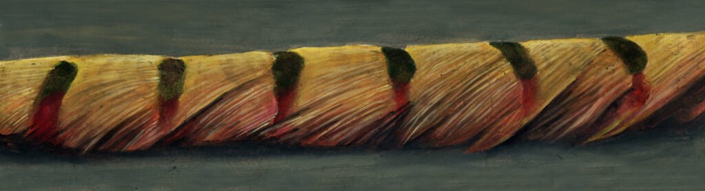 Feather-2
