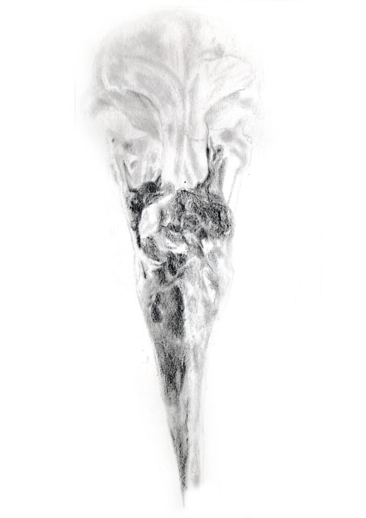 Skull pencil-4