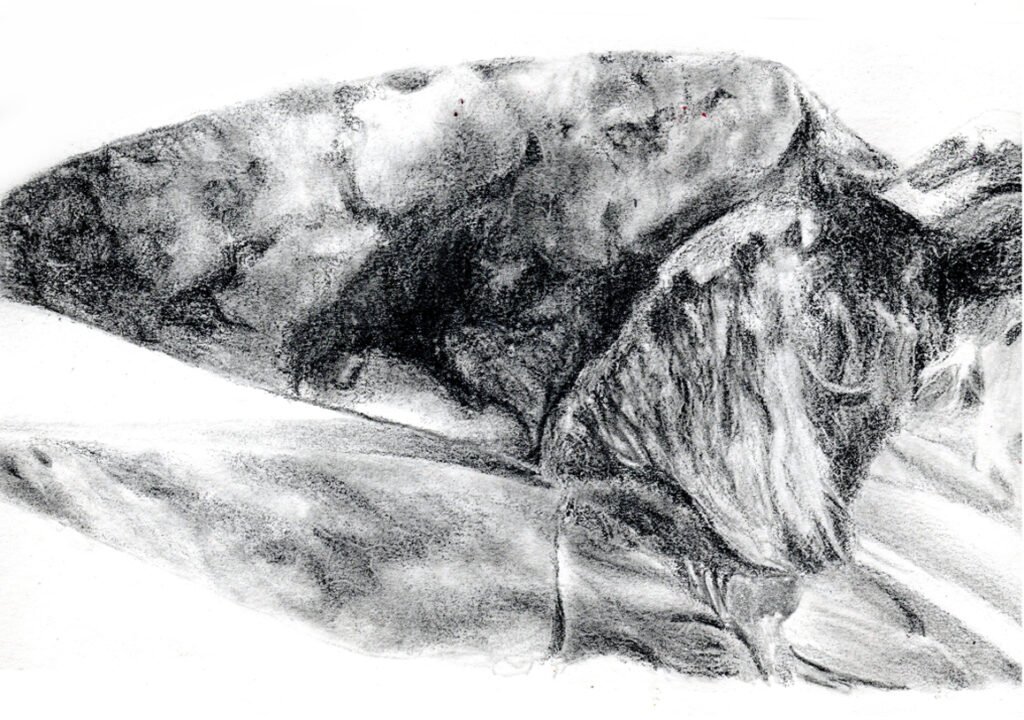 Skull pencil-2